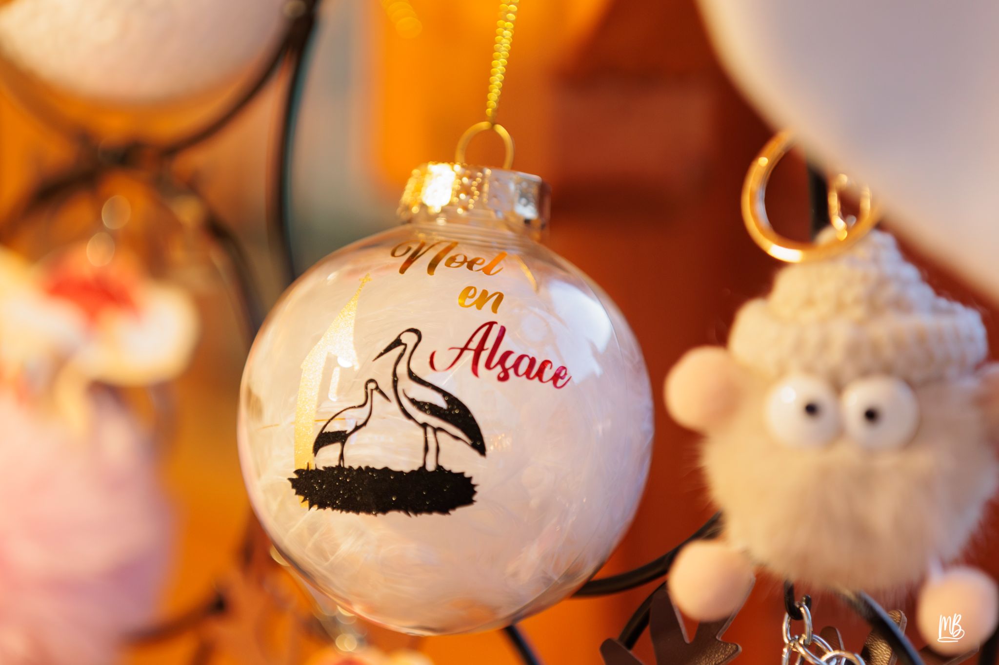 20241129 Noël à Haguenau MB (58 sur 114)